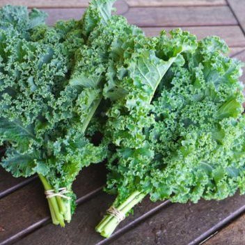 HẠT GIỐNG CẢI KALE XANH GÓI 200 HẠT