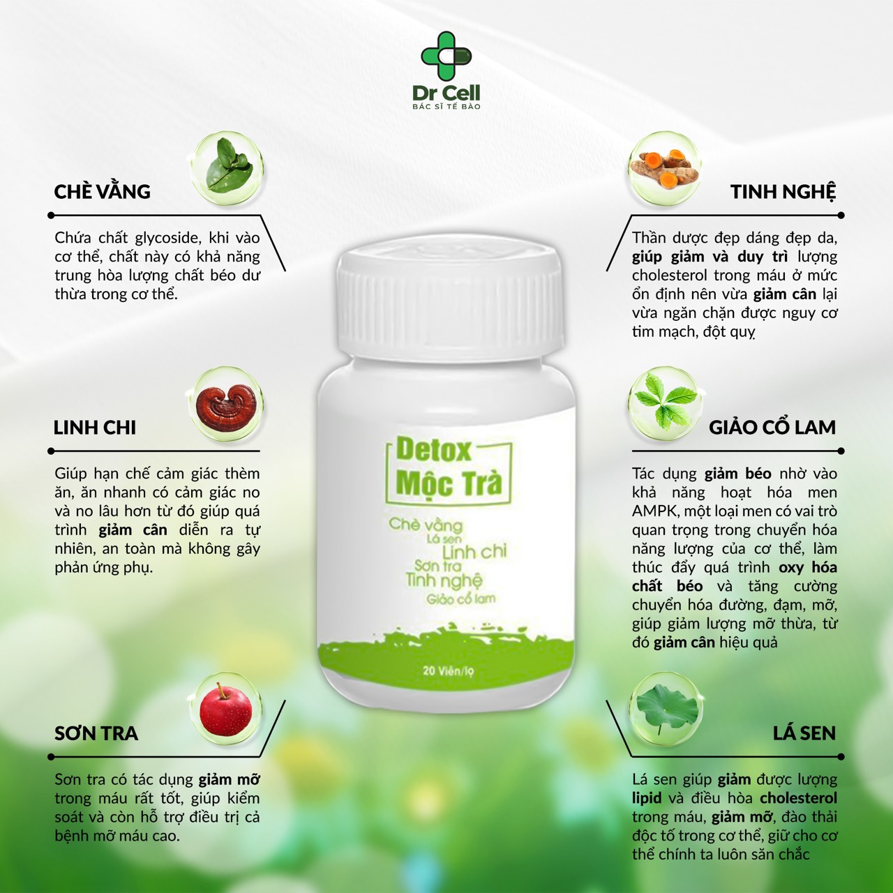 Detox Mộc Trà Dr Cell hũ 20 viên detox giảm mỡ thải độc cơ thể