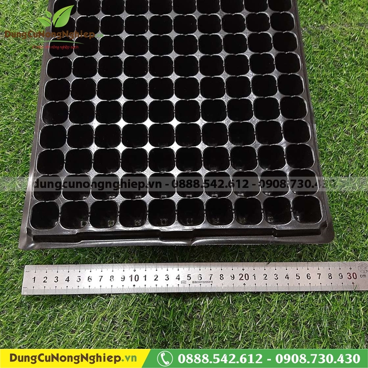 Bộ 5 khay ươm hạt giống 200 lỗ loại 2