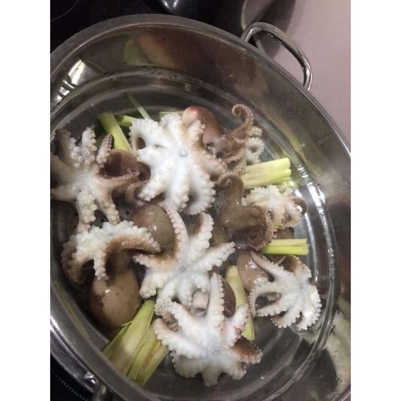 Bạch tuộc sữa baby 400g (giao tphcm)
