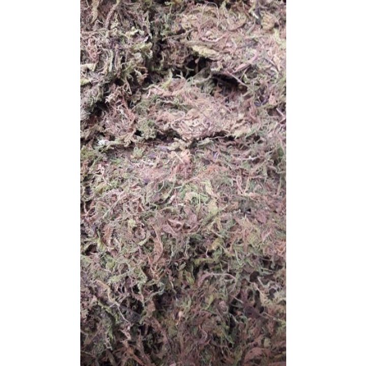 Dớn trắng gói 200gr (dớn mềm) chất trồng hoa lan