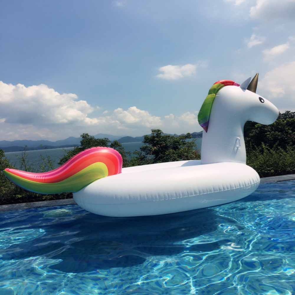 unicorn floaties