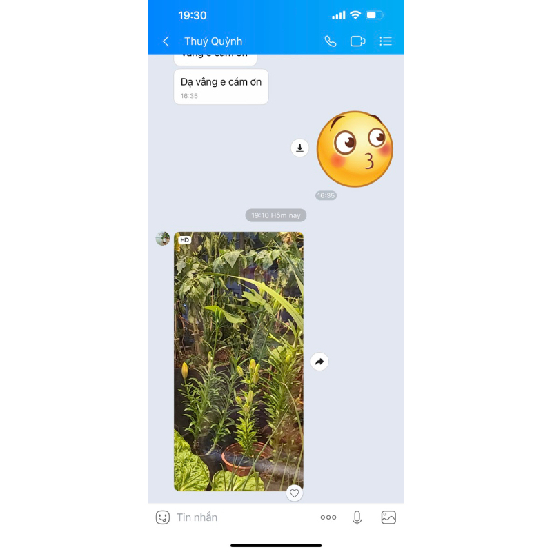củ hoa ly lùn trồng 30 ngày có hoa(có 9 màu)