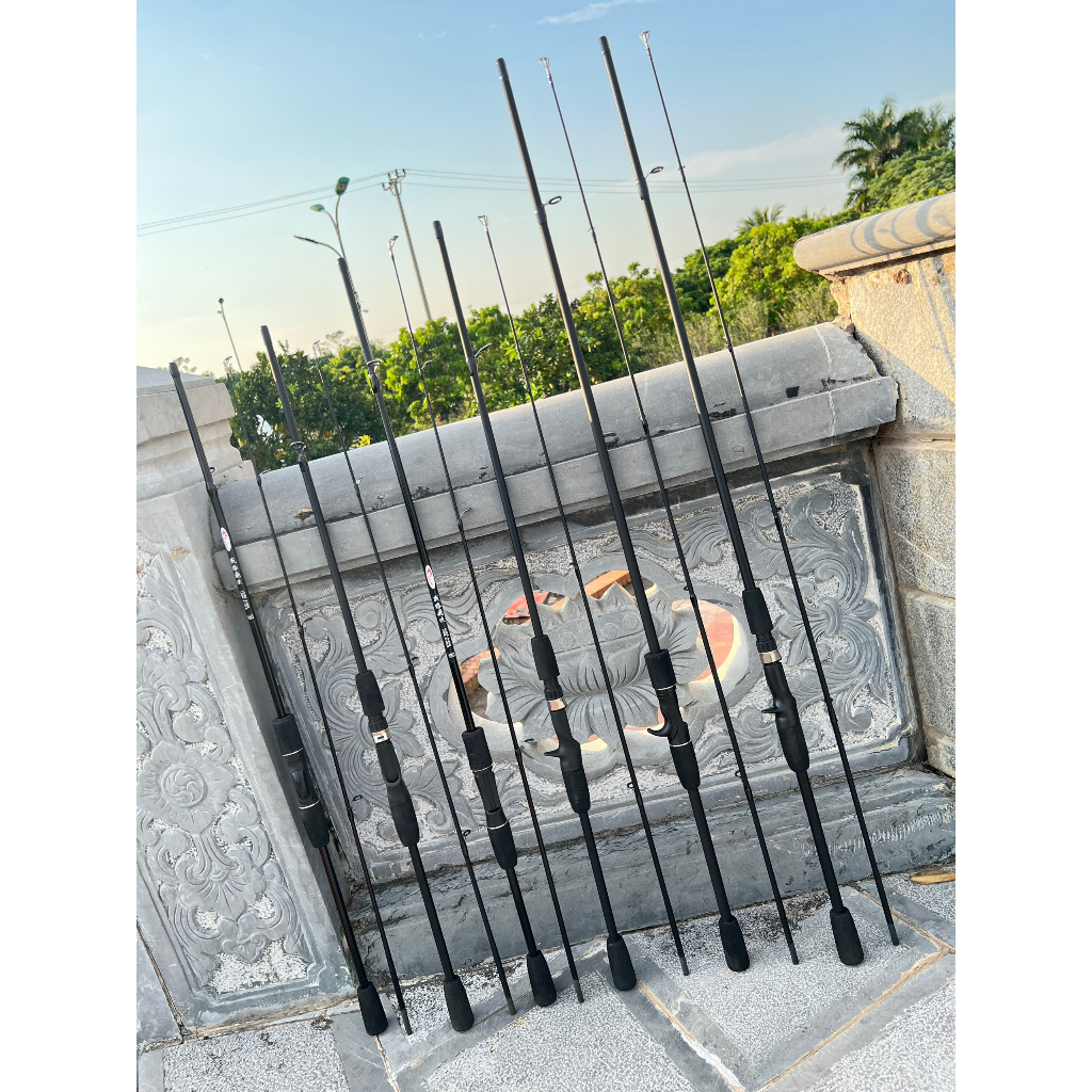 Cần Câu 1 Ngọn Cần Lure