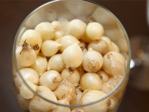 Hành tăm ( củ nén)