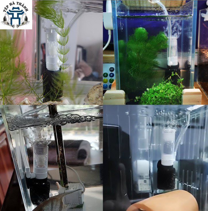 Lọc Bio Mini Dùng Cho Bể Cá Cảnh Bể Thủy Sinh