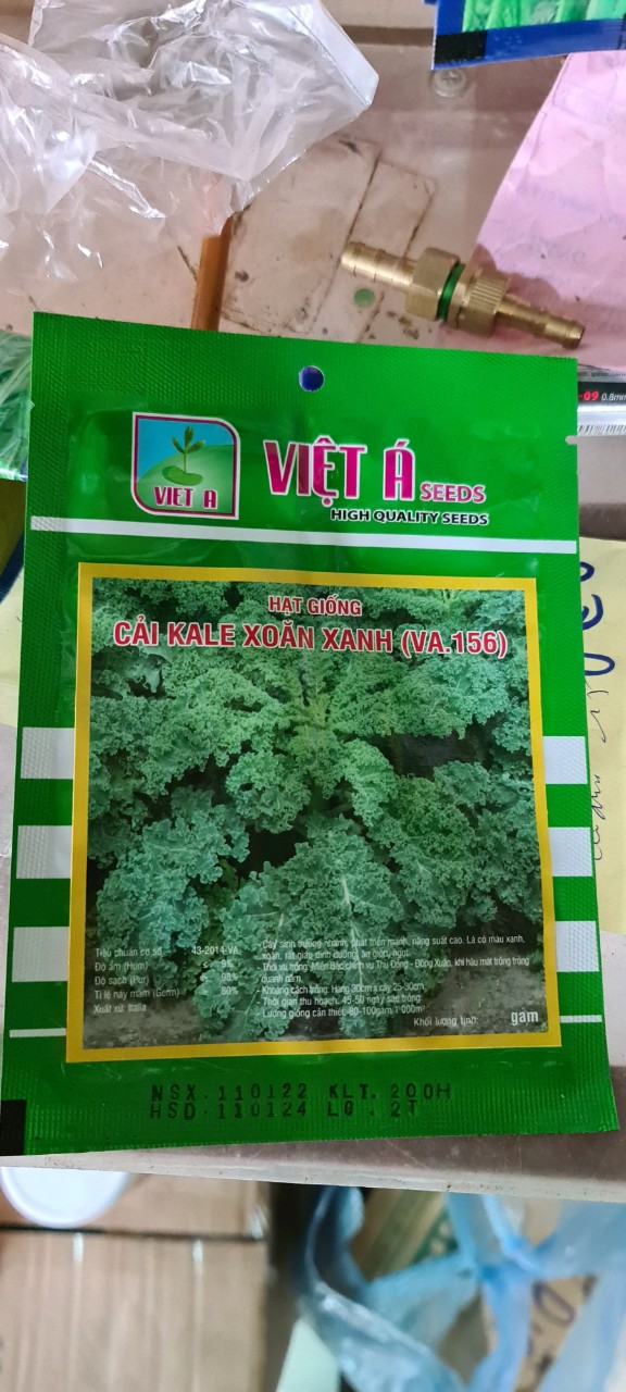 HẠT GIỐNG CẢI KALE XANH GÓI 200 HẠT