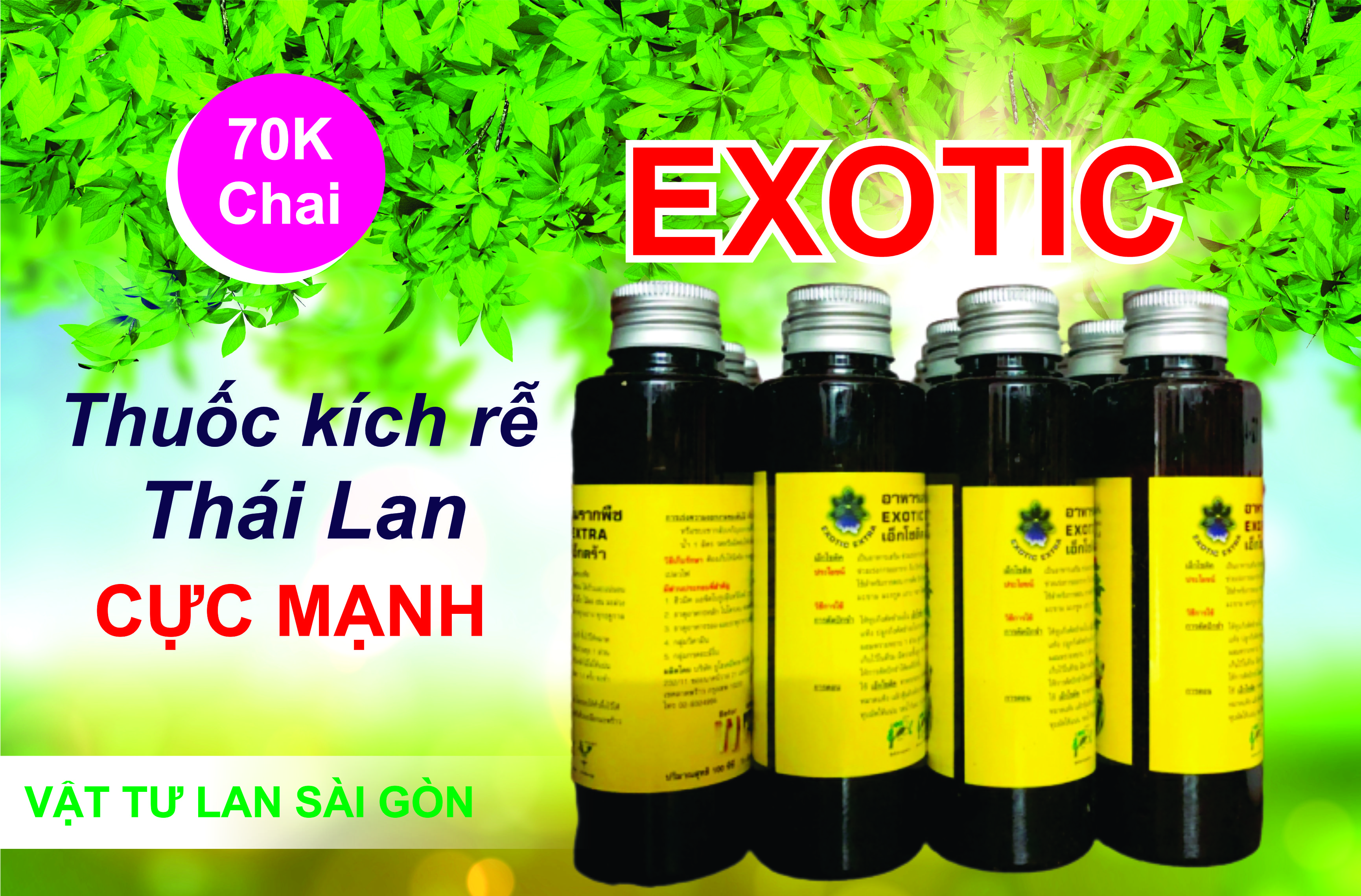[HCM]KÍCH RỄ EXOTIC THÁI