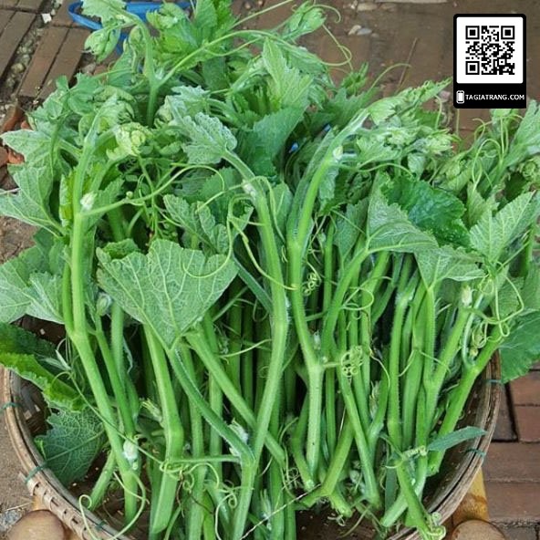 Hạt giống bí ngon siêu đọt CĐX, Gói 20g.