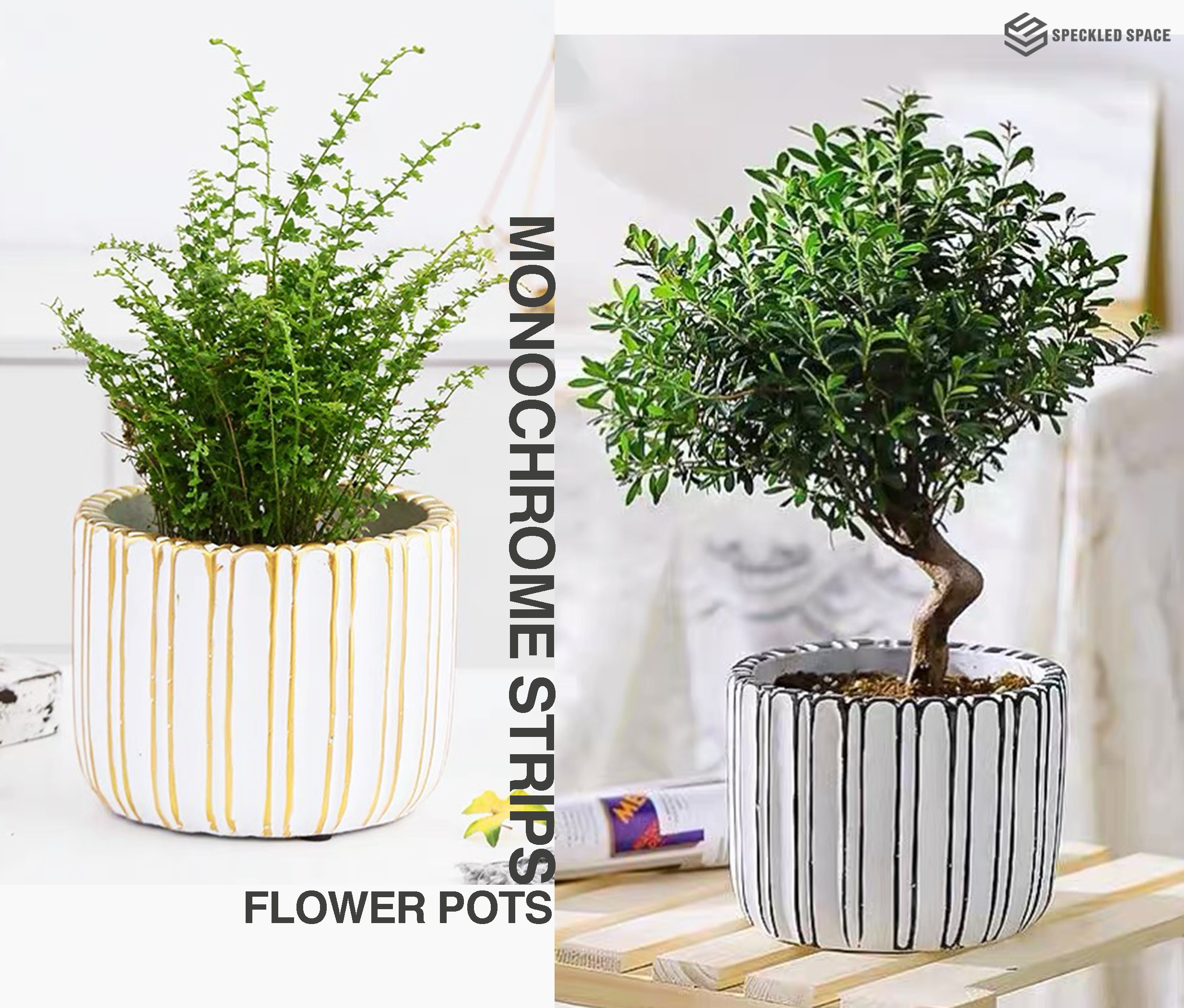 Nordic Monochrome Concrete Hand-made Flower Pot Planter/Garden