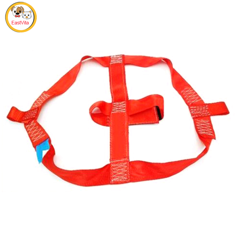 Motorcycle Rear Wheel Tie-down Strap Rear Wheel Transport Strong Polyester Tie Strap Belt Holder For Electric Bike