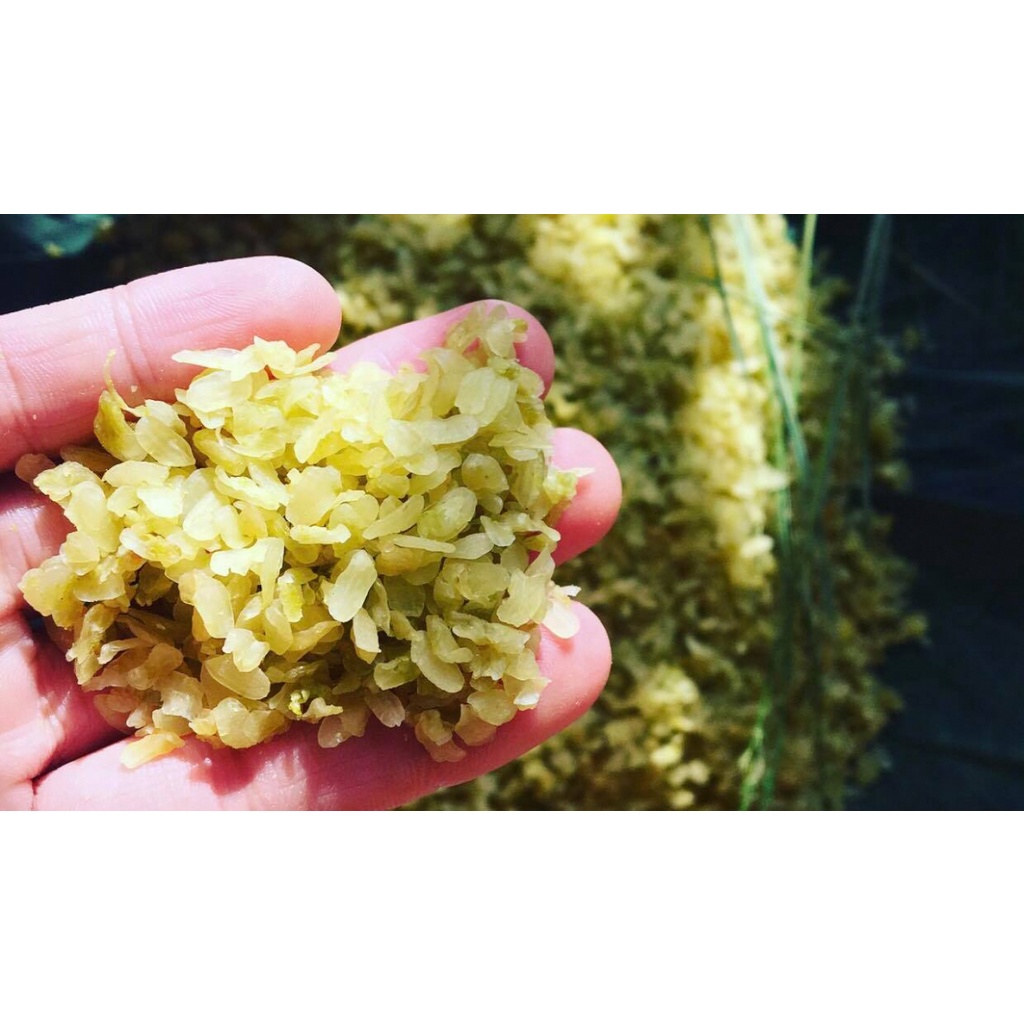 Cốm non làng Vòng sấy khô - túi 1kg - Bếp Chè Thái