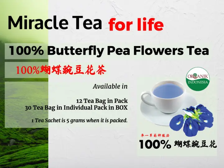 Miracle Tea For Life In Box Butterfly Pea Flowers Lazada Singapore
