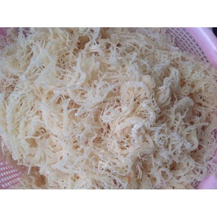 [HCM]Rong Sụn (Rong Biển Trắng) Phan Rang 500G