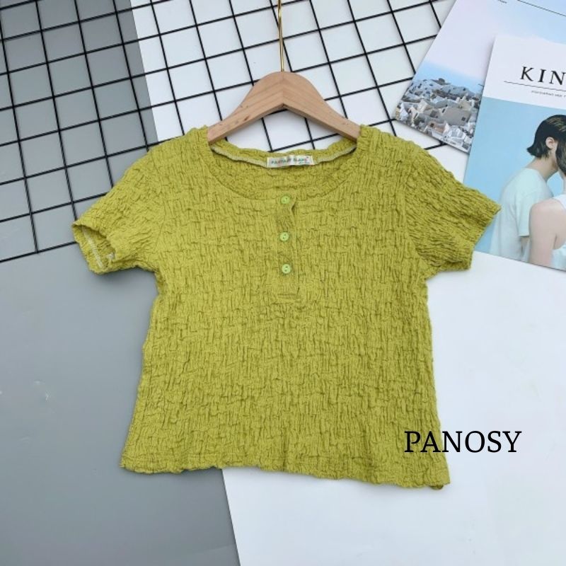 Áo thun nữ kiểu đẹp ôm body Hàn Quốc dáng croptop thời trang cổ tròn chất liệu vải xốp thoáng mát PANOSY - A601