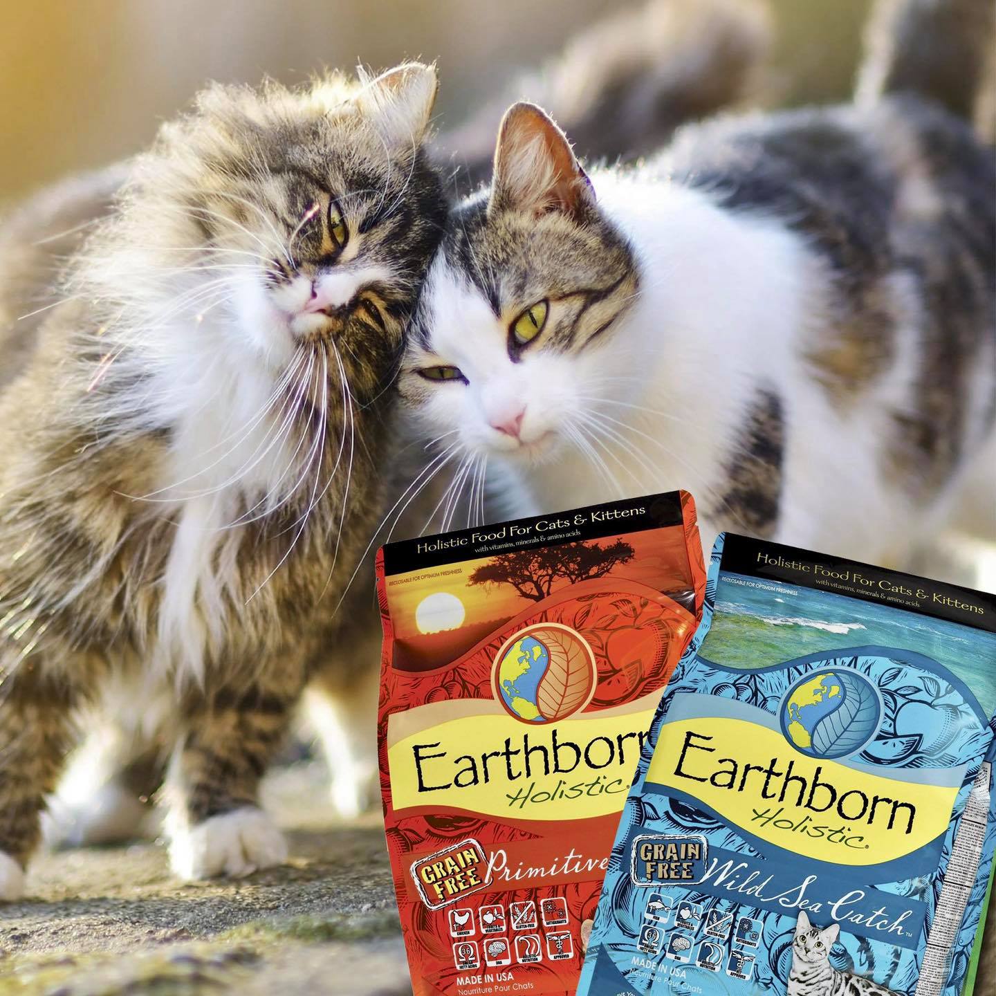 [Bao 6kg](grain free) Earthborn cat food from USA