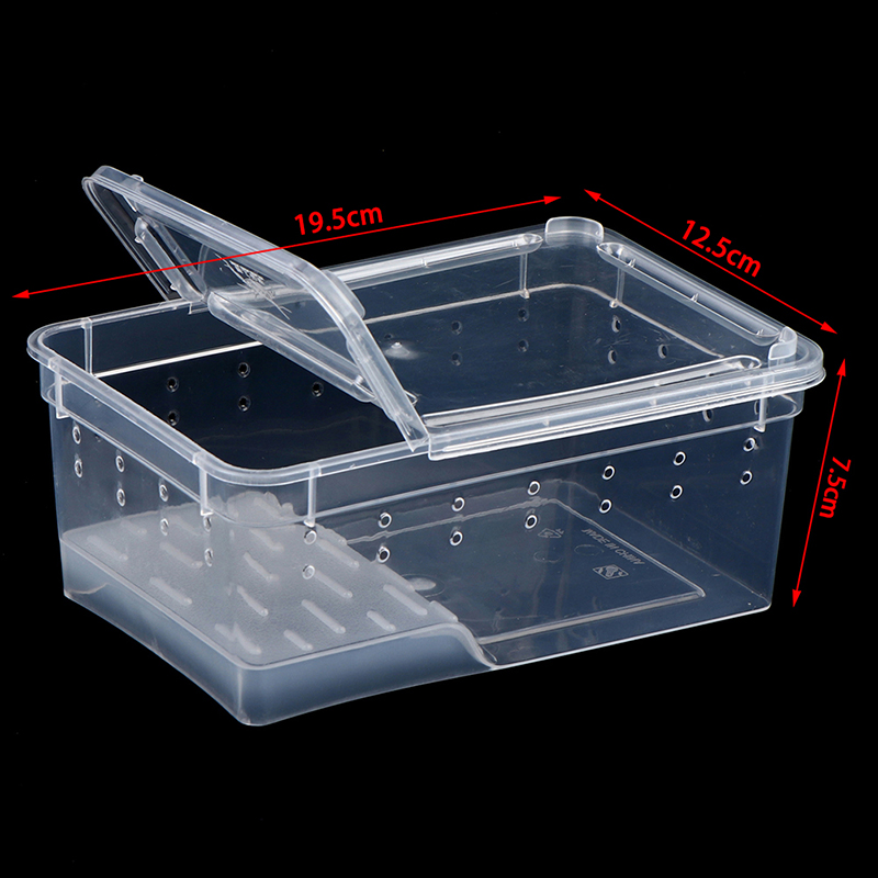 [The Tamia] Reptile box Mantis jumping spider silkworm rearing box ...