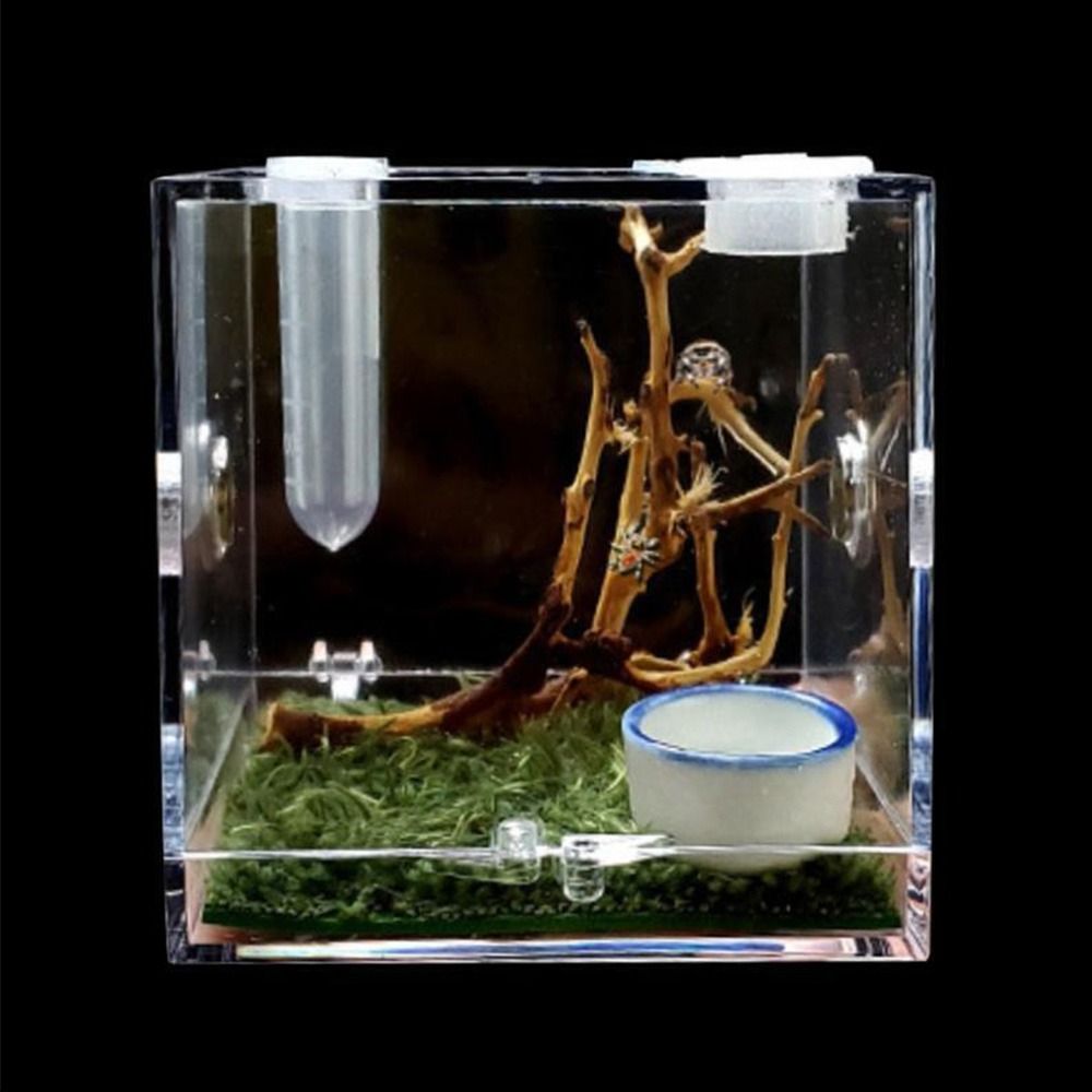 Professional with Humidifier Spider Feeder Spider habitat Breeding Cage ...