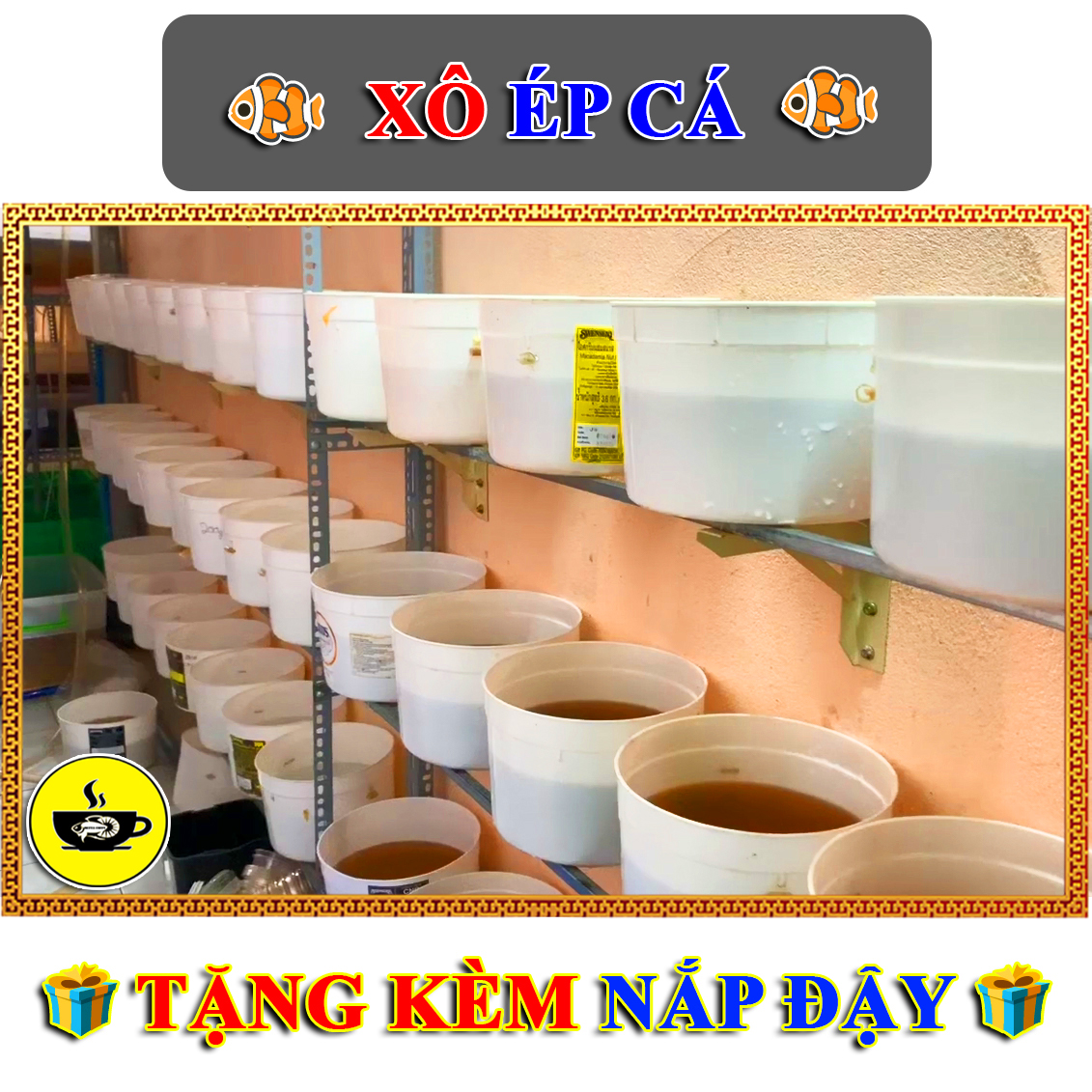 Thùng Ép Cá Betta Guppy  - Xô Kem Tròn Có Nắp
