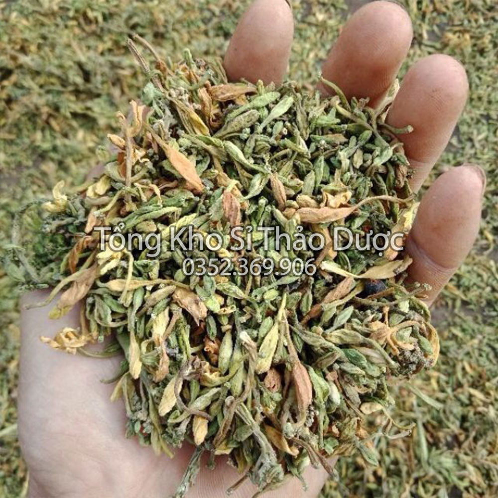 Hoa đu đủ đực thượng hạng 100g