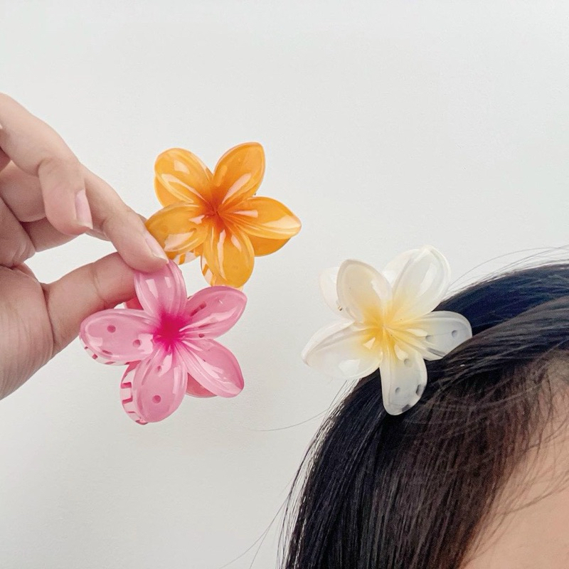 Kẹp Tóc, Gấp Tóc Hoa Sứ Hàn Quốc Hot Trend 4cm
