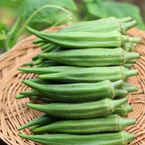 Hạt Giống Đậu Bắp Xanh Cao Sản (20gr)