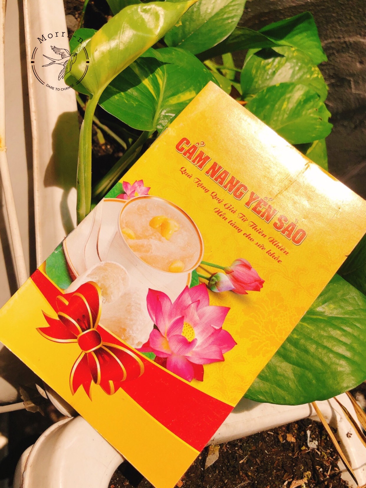 CUỐN CẨM NANG YẾN SÀO CAO CẤP BẢN ĐẸP
