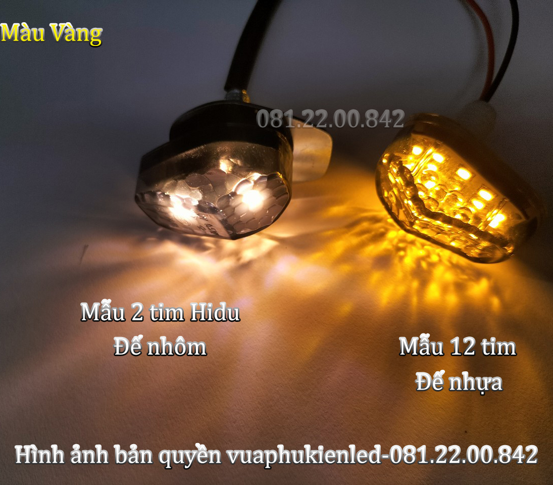 Xi nhan con bọ lắp winner X