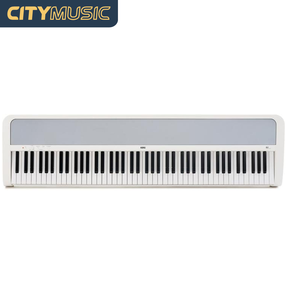B2 Digital Piano 88key Digital Home Piano with Weighted Hammer