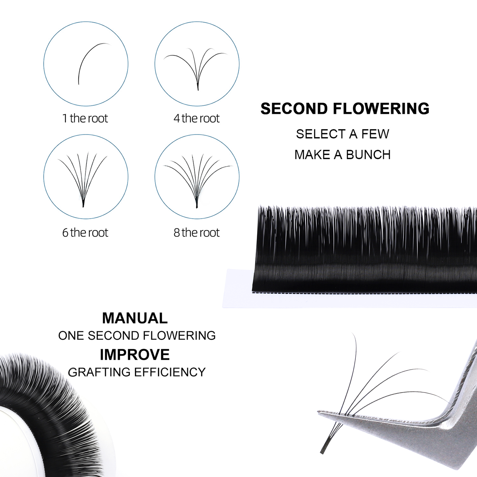 Zhitian Luxury Easy Fanning Bloom Eyelashes C/D/DD Curl Austomatic ...
