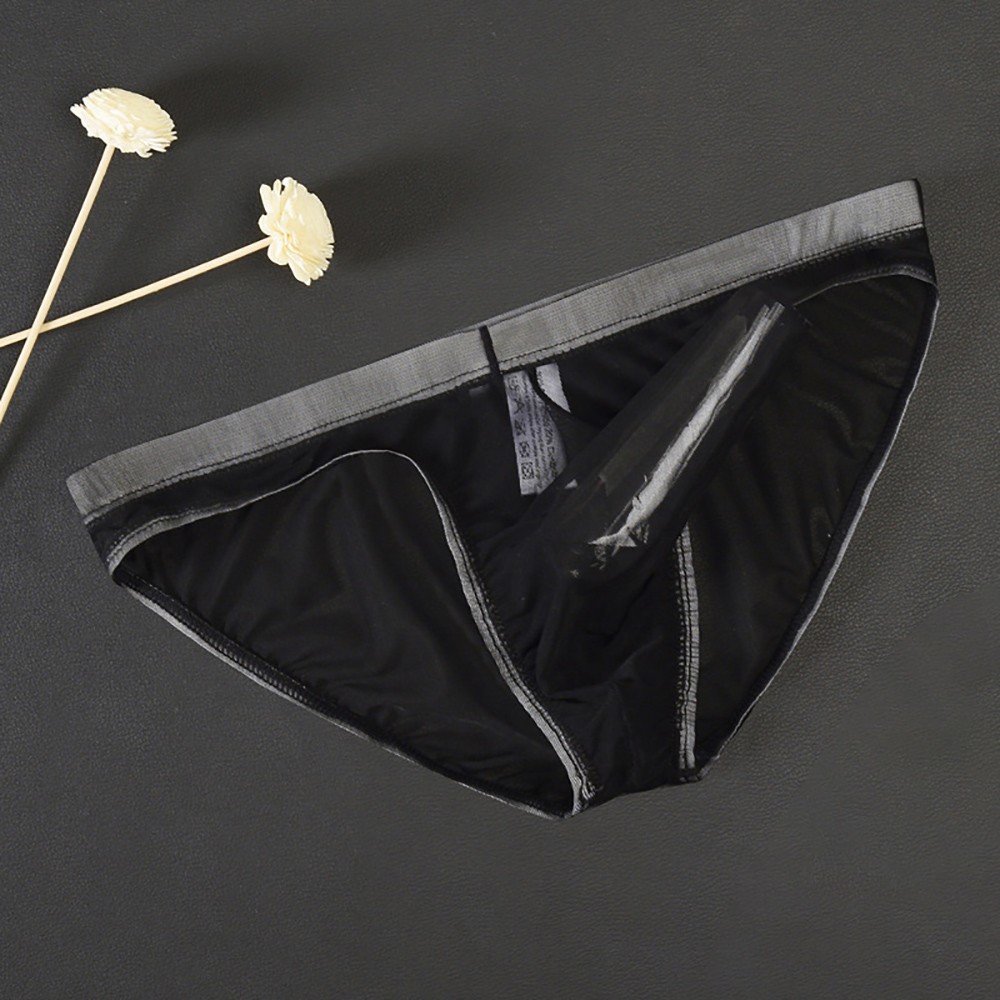 Underwear Briefs Tulle Bikini Briefs Elastic G-String L/XL/2XL Netting ...