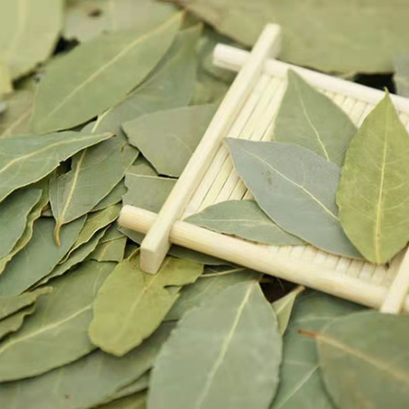 BAY LEAF HERBAL TEA/DRIED BAY LEAVES OR LAUREL LEAVES Lazada PH