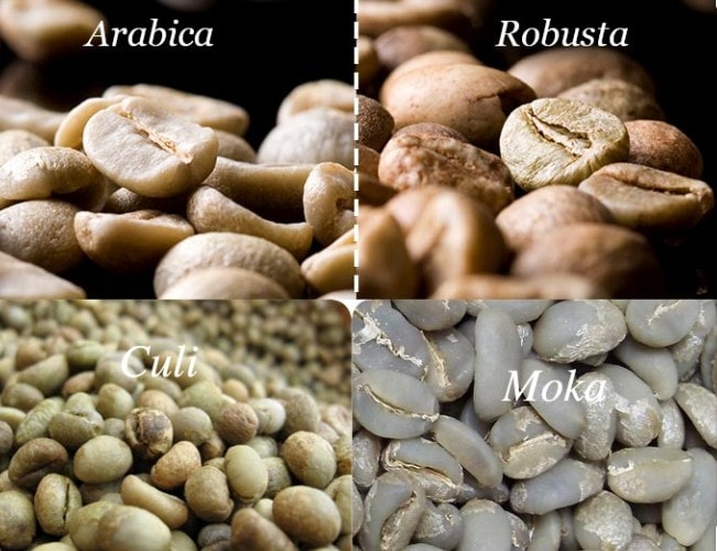 AFE robusta ARABICA nhân 500g ( hạt sống)