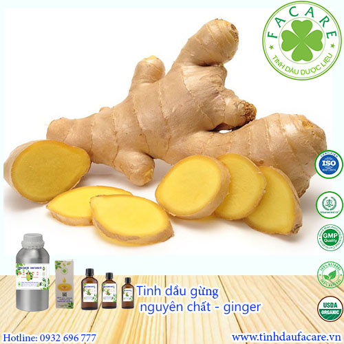 Tinh dầu Gừng Ginger essential oil - 10ml