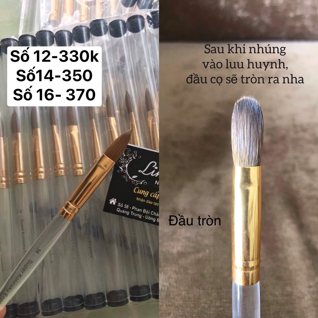 Cọ đắp bột số 12- 14 -16 lông tự nhiên 100%