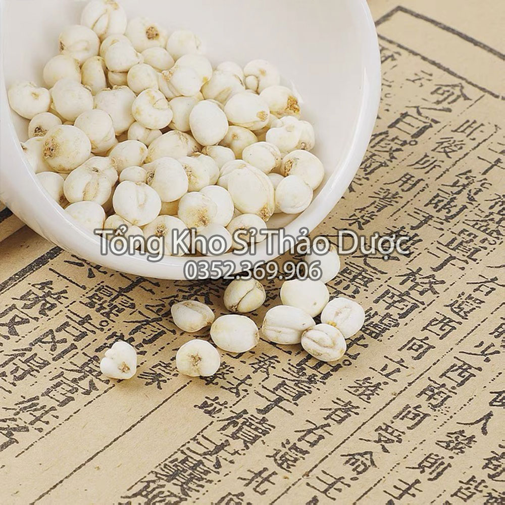 Thổ bối mẫu 500g (Bối mẫu loại 1, hạt to,thơm)