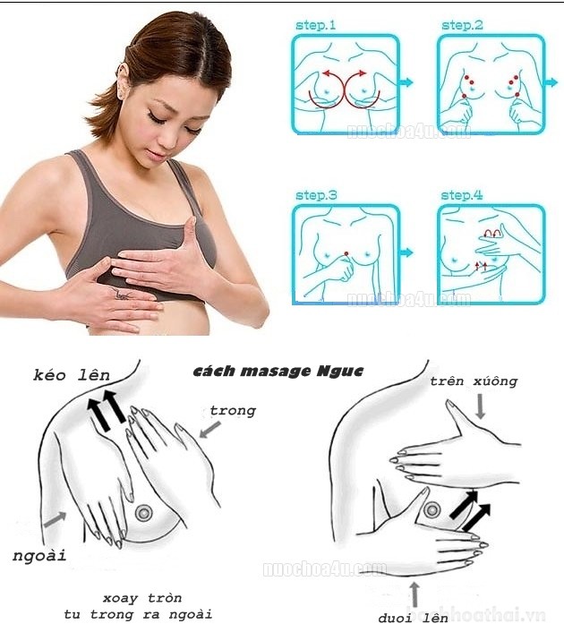 Kem massage nở vòng 𝟙 Dorlene Herbal Thái Lan