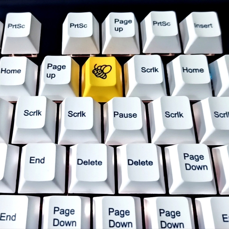 【New arrival】Dye sublimation keycap R4 PBT honeybee Yellow key cap for Mechanical Keyboard. 
