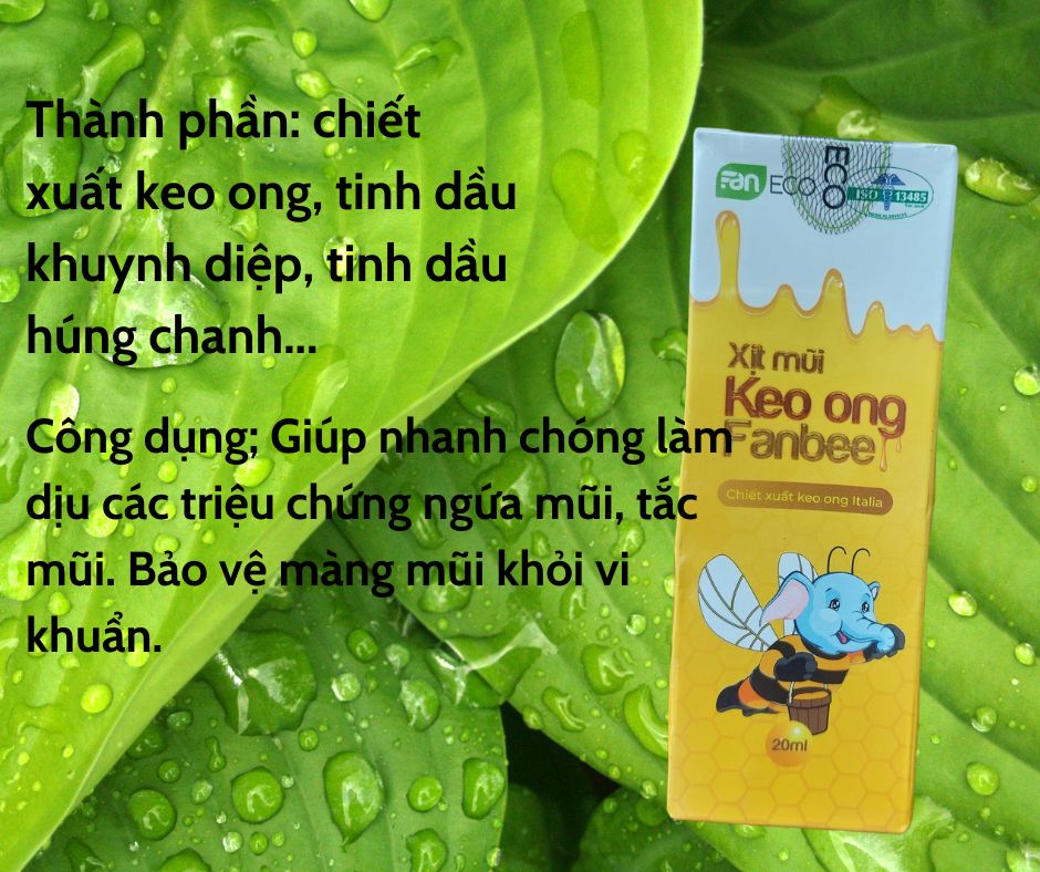 XỊT MŨI KEO ONG FANBEE