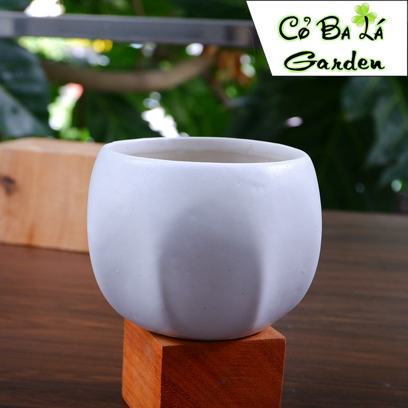 chậu sứ bát tràng-hình bóng lõm