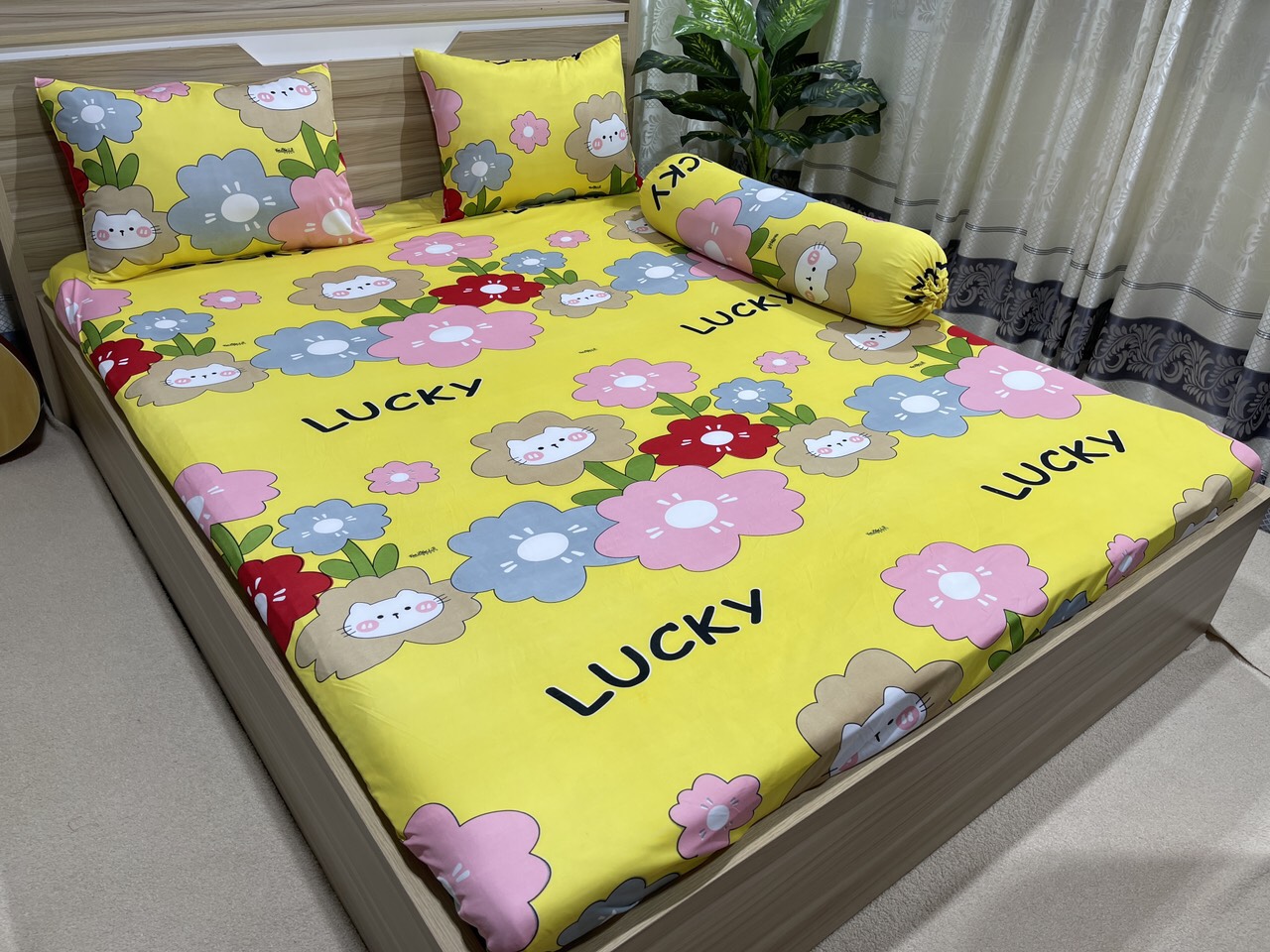BỘ DRAP GA THUN (HOA LUCKY) 4 MÓN