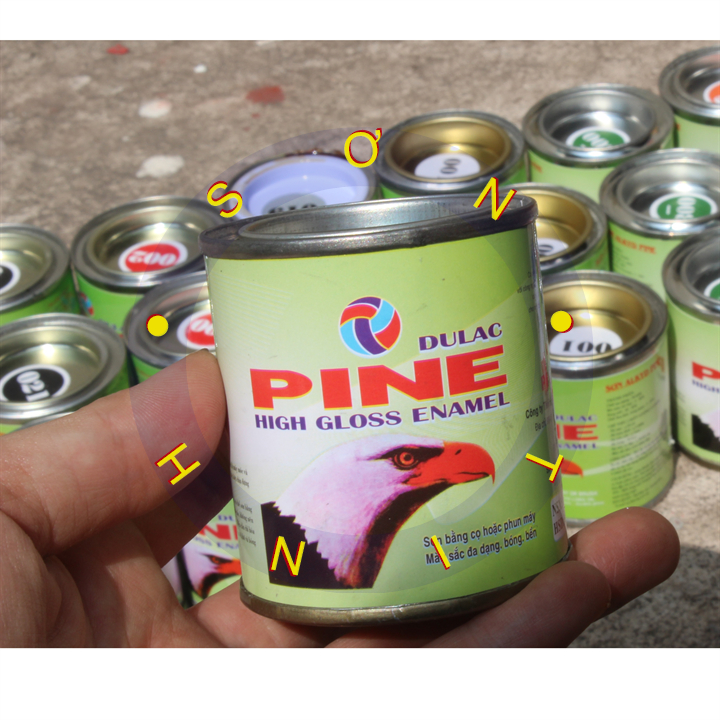 Sơn dầu con ó Pine lon 80 gram