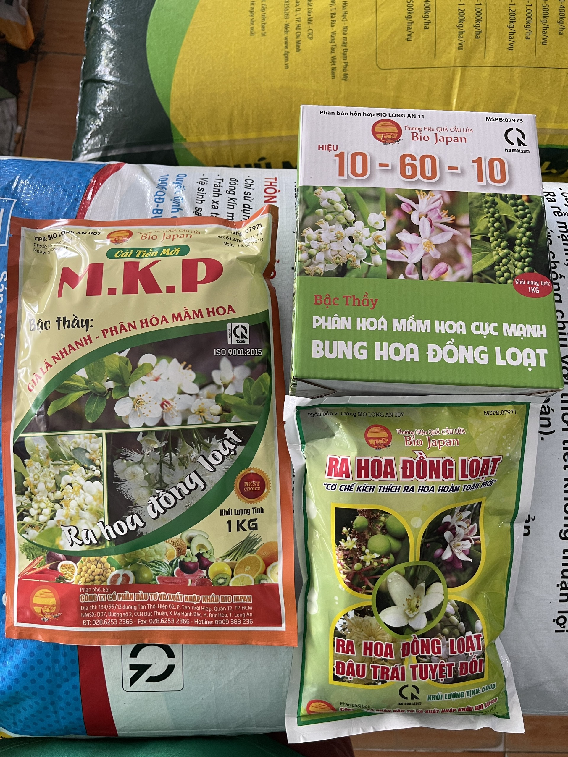 Bộ 3 ra hoa đồng loạt bio japan