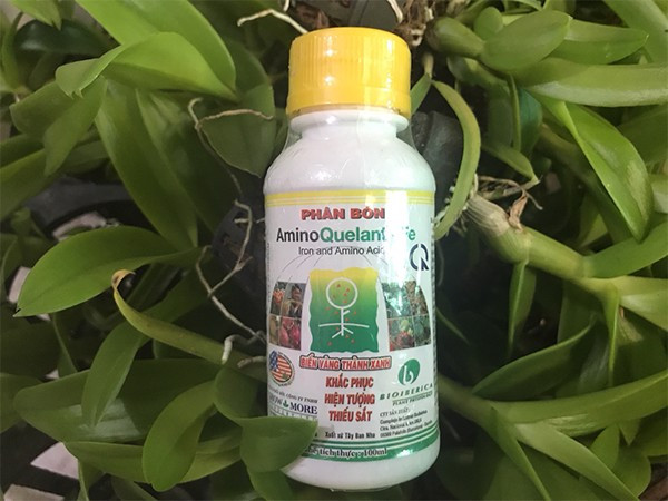 [HCM]Phân bón lá bổ sung sắt Amino Fe(Amino Quelant Fe) chai 100ml
