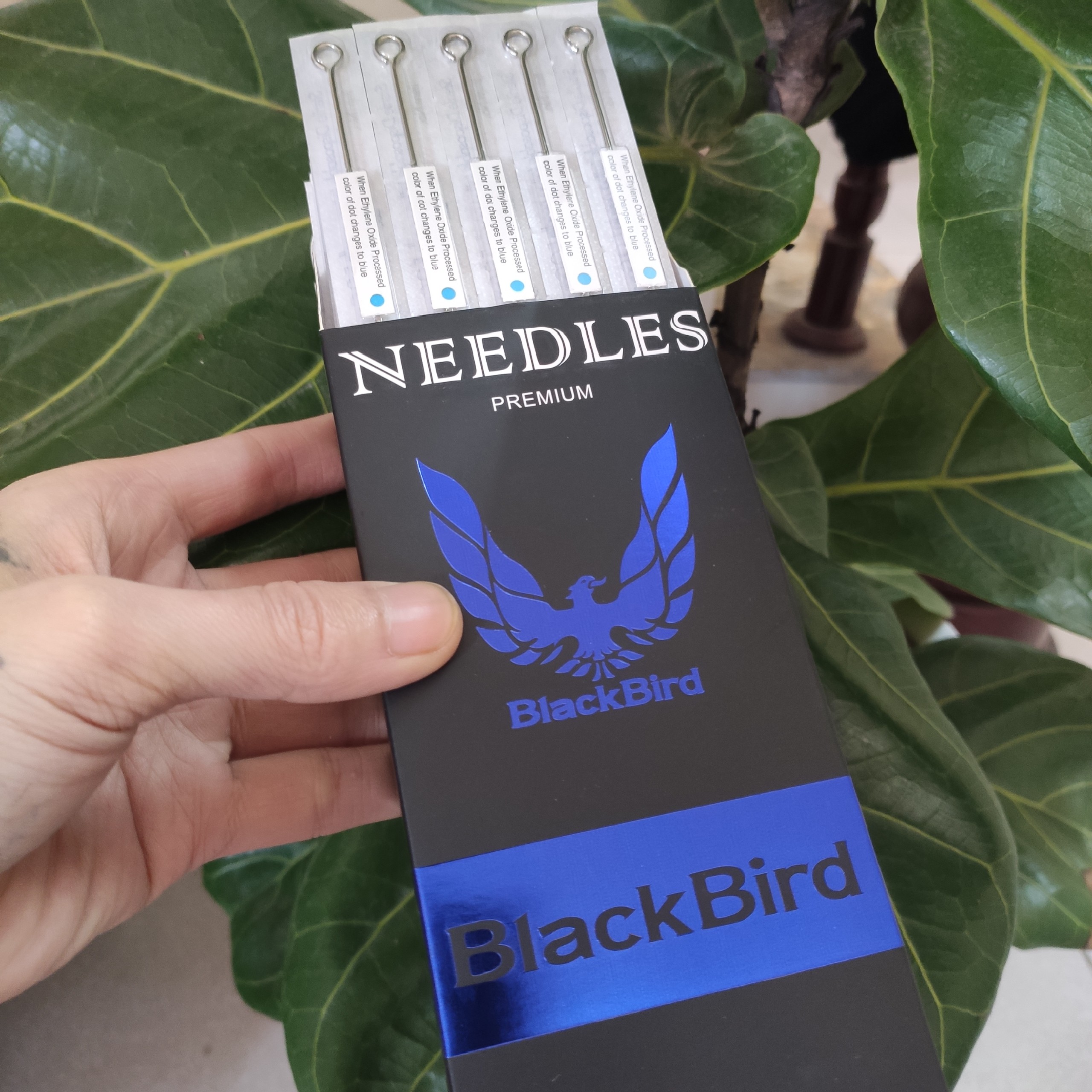 Kim xăm 7rl đi nét black bird