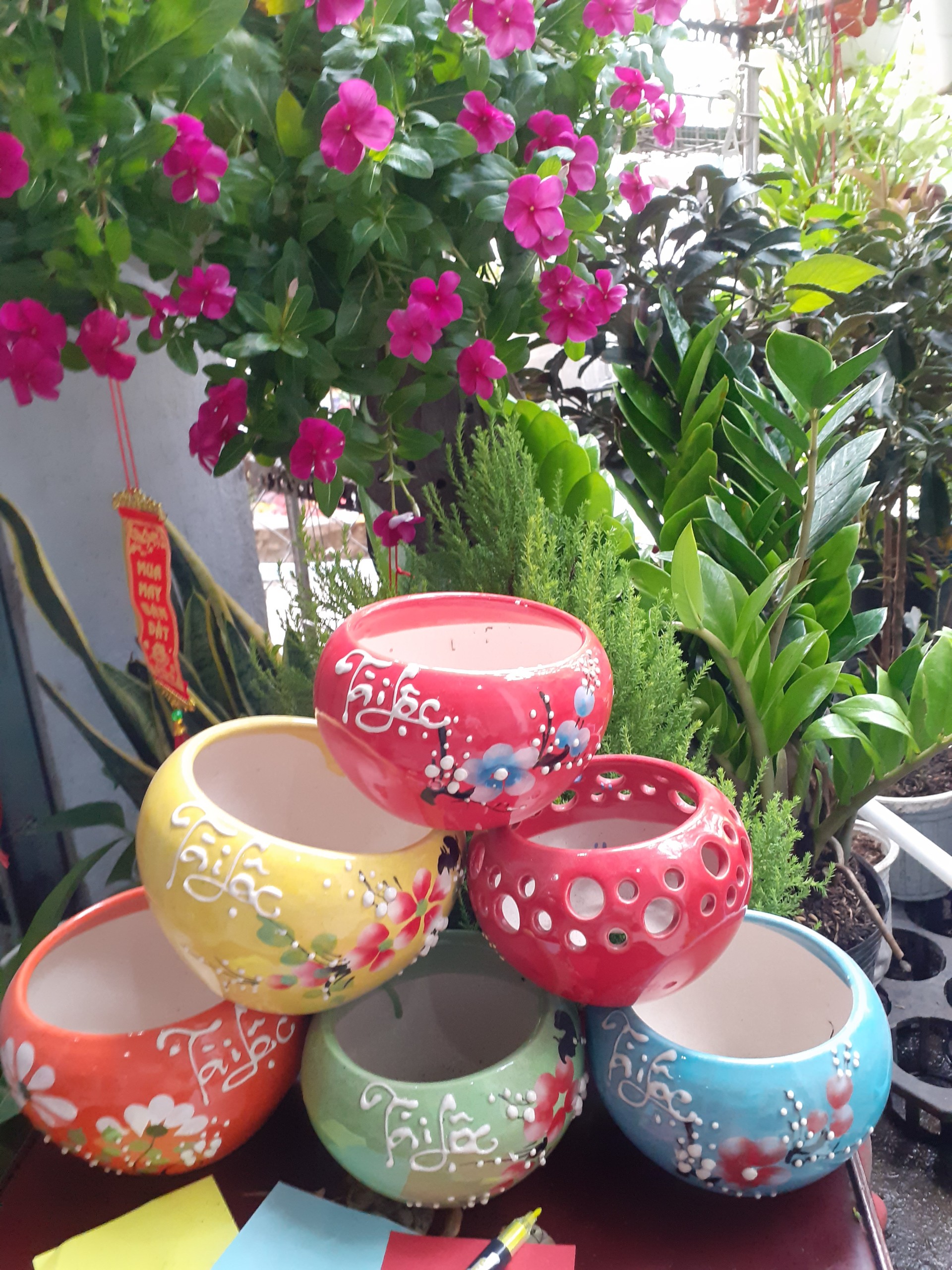 chậu men sứ tài lộc đủ màu đẹp.