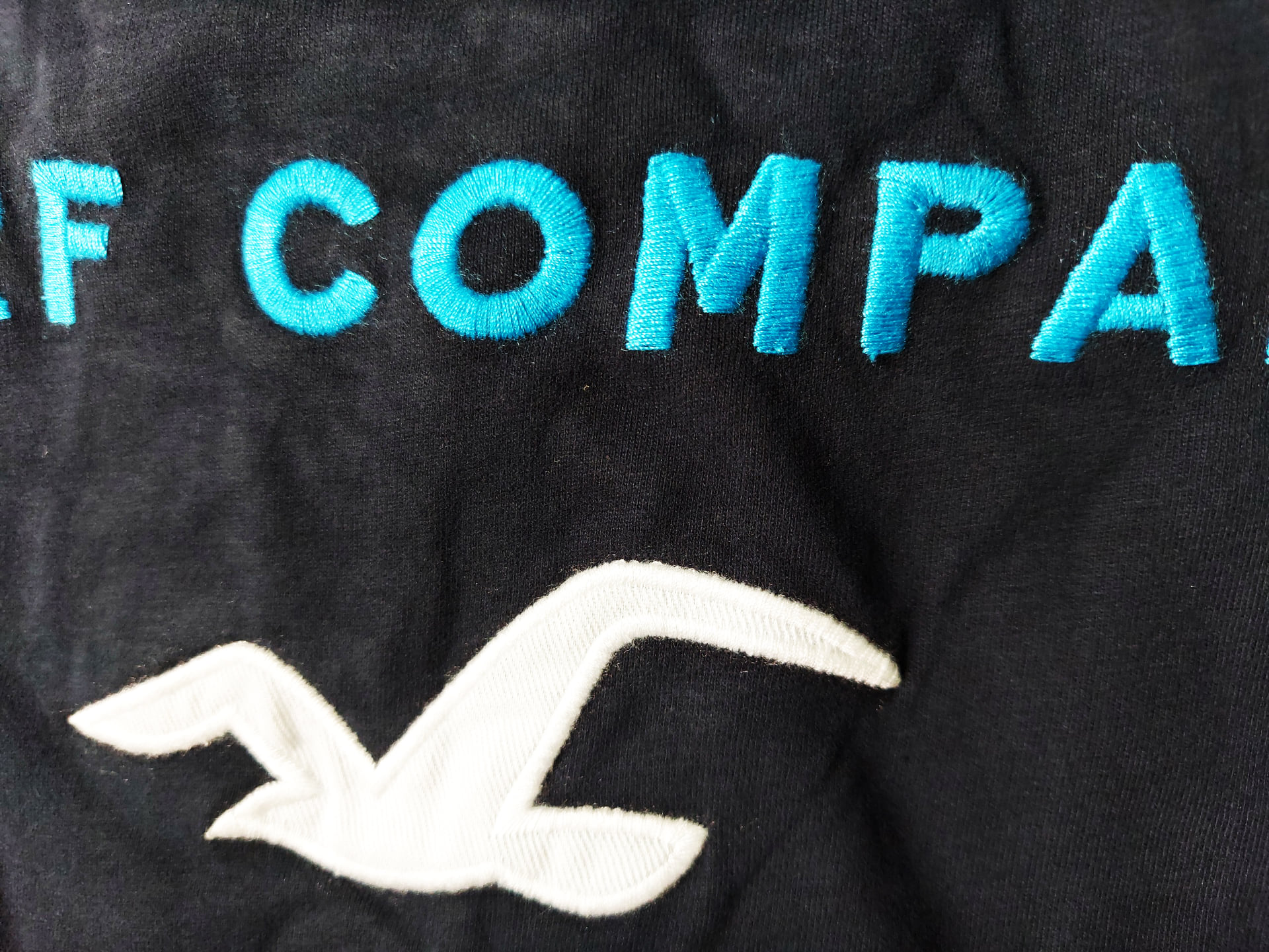 Áo thun Hollister Navy Company