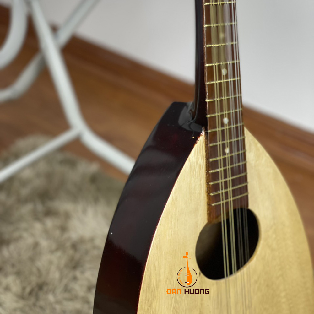 Đàn Mandolin