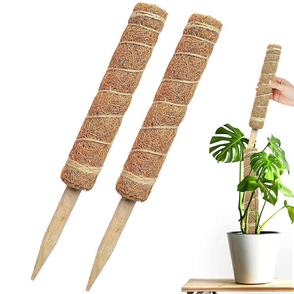Trụ cột xơ dừa cho cây leo bám cột 30/40/50cm -Aeneas Shop