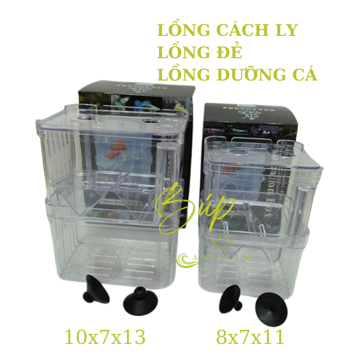 Lồng đẻ, lồng cách ly, box dưỡng cá tép cảnh / Búp aqua